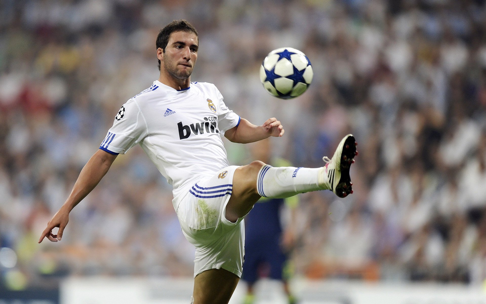 勒沃库森在场上展现出坚韧拼搏的精神，取得胜利，勒沃库森战绩聚胜顽球汇